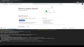 Google Cloud Platform: App Dev Storing Image and Video Files in Cloud Storage Python (Part 1)