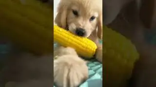 A beautiful moment 
