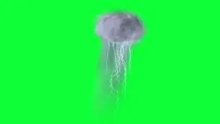 Rain cloud with Lightning Green Screen