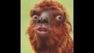 420 Blaze it Marijuana Llama