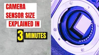 Camera Sensor Size: Master the Basics in Just 3 Minutes