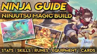 NINJA NINJUTSU MAGIC DMG BUILD FOR PVE ~ Stats, Skills, Runes, Equipment, Cards & Tips!