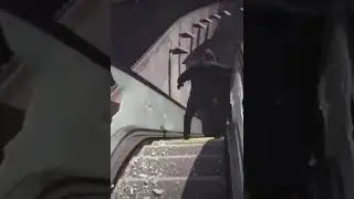 VID 20191105 WA0067