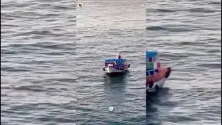 Así sorprendieron los fans a la Bichota