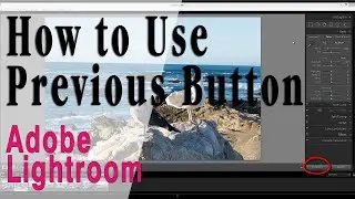 How to Use the Previous Button in Lightroom