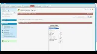 Create Custom Report in Salesforce