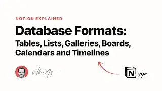Notion Database Formats: Tables, Lists, Galleries, Boards, Calendars and Timelines
