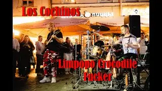 Los Cochinos -  Limpopo Crocodile F*cker (Drum and guitar street perfomance)