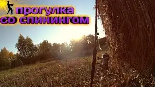 Осенний спининг. Дороги и затоны р. Самара#Спиннинг