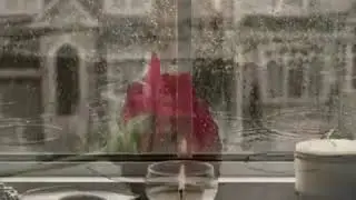 Катись яблочко по тарелочке