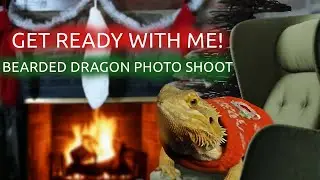 Get Ready With My Bearded Dragon For A Holiday Photoshoot!
