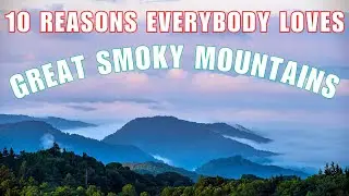 10 Things To Do in The Smoky Mountains (That Are Actually Fun!)