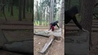 Кого подбросить до Шри-Ланки?😅 #13snur #жиза #юмор #интрига