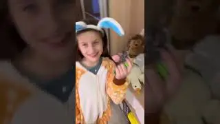 ЖЕЛЕЙНЫЙ В ПОИСКАХ КОНФЕТ ,УГАДАЙ КТО СЪЕЛ ВСЕ КОНФЕТЫ