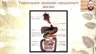 ПОЧЕМУ ЖИРЕЮТ ОТ КРАХМАЛА