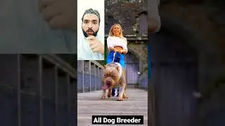 The Big Doge🐕 