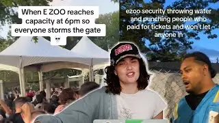 The Electric Zoo Disaster