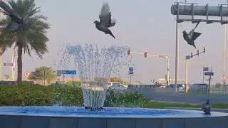 Abu Dhabi Formal Park, Cornice Park, Morning TIME.