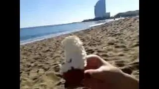ДиКая Барселона. День 7. Пикник на пляже