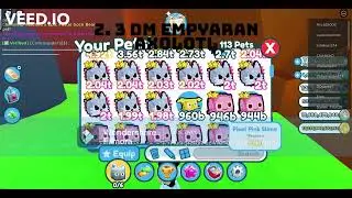 My offer for a storm agony (PET SIMULATOR X) (READ DESCRIPTION)