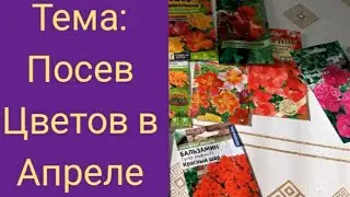 Сеем семена цветов. Что ещё не поздно посеять?