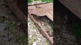 нашёл прицеп от трактора и сразу начал резать