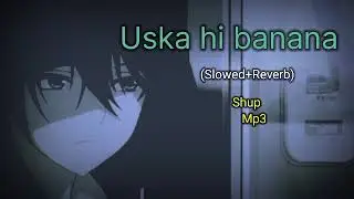 Uska Hi Banana [Slowed+Reverb] - Arijit Singh | Shup mp3