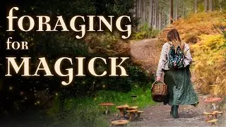 Foraging for Witchcraft: Autumn Edition