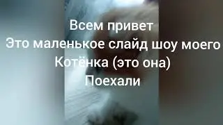 Слайд шоу моего котенка