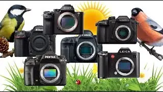 Tired of black cameras? 5 Colorful Cameras