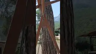 Кемер. Бильдиби. Турция.