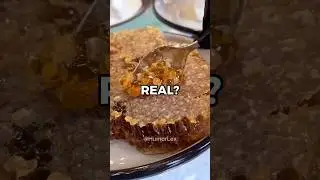 Which of the Other 49 States are Real?