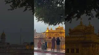 Golden  Temple Amritsar Punjab 🙏🙏  #GoldenTemple #Amritsar #Punjab #sorts #letsgoexploringworld