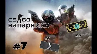 этого не может быть CS GO напарники