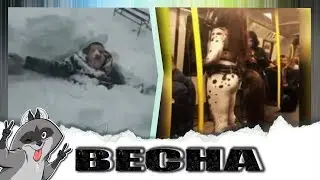 Подборка лучших приколов / ПОПРОБУЙ НЕ ЗАСМЕЯТЬСЯ / Шурикs