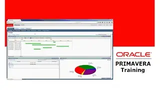Primavera P6 Assigning Multiple Resources to an Activity Part 51