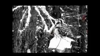 ФИЛЬКА (Совёнок) корчит рожи :-)))