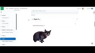 How to Use the Glossary Feature in Moodle 4.0