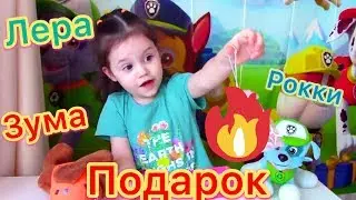 Лера и ее любимые щенки Рокки и Зума открыли подарочек!