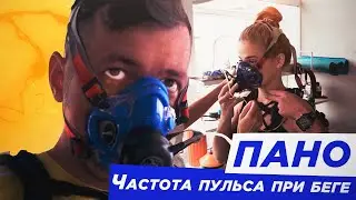 Пано, что это такое? Зачем бегунам знать свой пульс. МПК