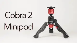 My FAVORITE Filmmaking/Photography Accessory | iFootage Cobra 2 Minipod