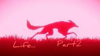 Life... Part 2