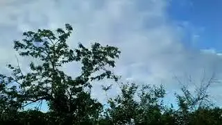 Соловей поёт
