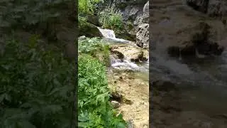 РБ