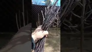 правильная обрезка сада