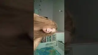 26 сентября 2021 г.