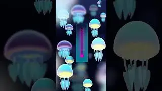 #3danimation