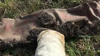 МЕТАЛЛОПОИСК возле хранилища с металлоискателем ТХ850. Находки есть