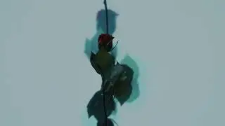 James Blake - Let Her Know