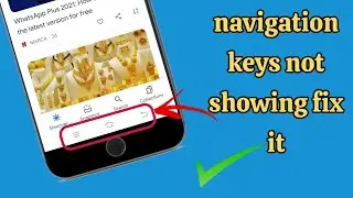 How to fix back button not working on android/navigation keys
